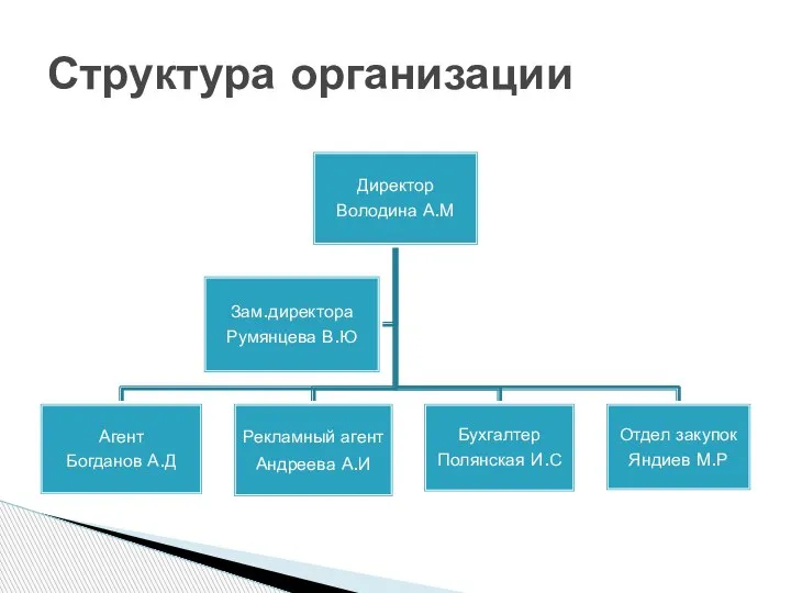 Структура организации