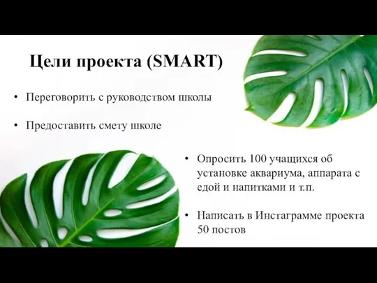 Цели проекта (SMART) Переговорить с руководством школы Предоставить смету школе Опросить 100