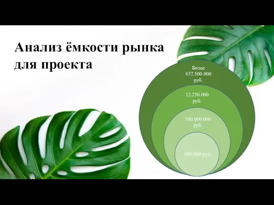 Г Анализ ёмкости рынка для проекта Более 857.500.000 руб. 12.250.000 руб. 300.000.000 руб. 600.000 руб.