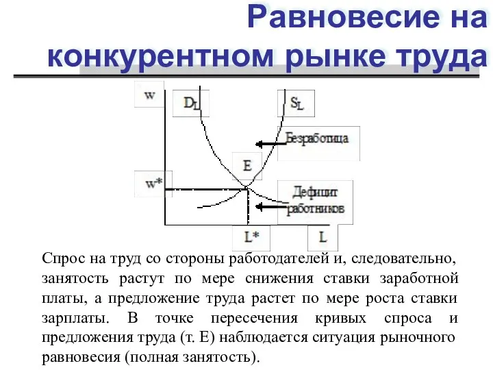 Равновесие на конкурентном рынке труда Спрос на труд со стороны работодателей и,