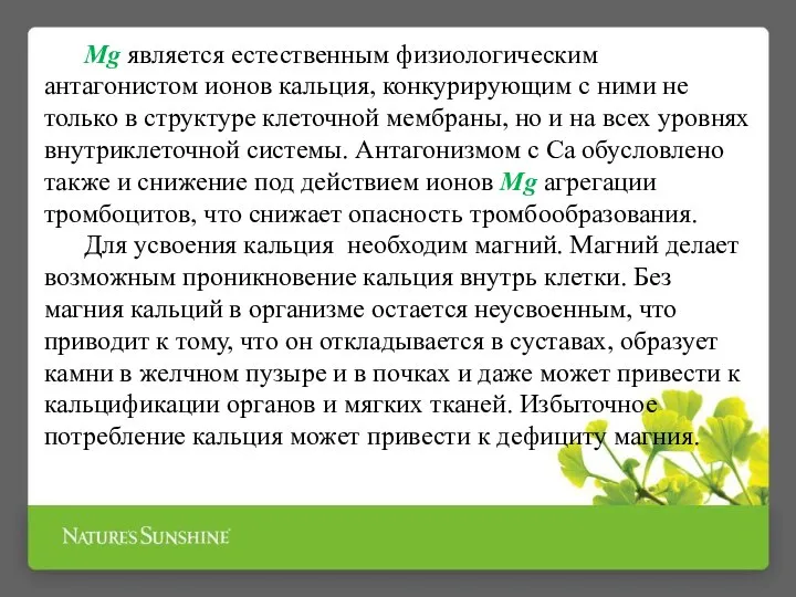 Мg является естественным физиологическим антагонистом ионов кальция, конкурирующим с ними не только