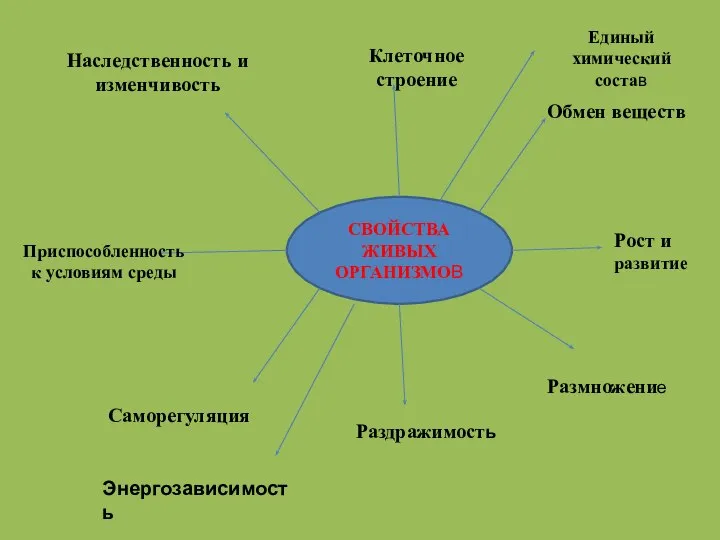 СВОЙСТВА ЖИВЫХ ОРГАНИЗМОВ Клеточное строение Обмен веществ Рост и развитие Размножение Раздражимость