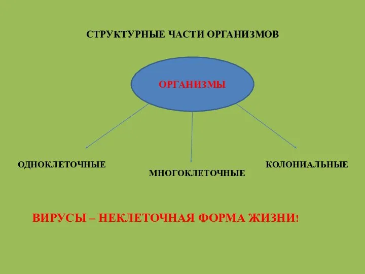 СТРУКТУРНЫЕ ЧАСТИ ОРГАНИЗМОВ ОРГАНИЗМЫ ОДНОКЛЕТОЧНЫЕ МНОГОКЛЕТОЧНЫЕ КОЛОНИАЛЬНЫЕ ВИРУСЫ – НЕКЛЕТОЧНАЯ ФОРМА ЖИЗНИ!