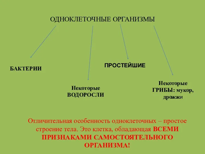 ОДНОКЛЕТОЧНЫЕ ОРГАНИЗМЫ БАКТЕРИИ Некоторые ВОДОРОСЛИ ПРОСТЕЙШИЕ Некоторые ГРИБЫ: мукор, дрожжи Отличительная особенность