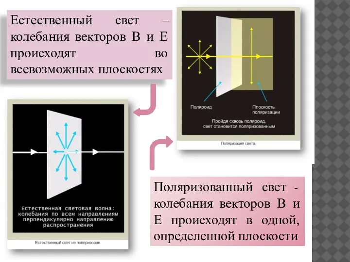 Естественный свет – колебания векторов В и Е происходят во всевозможных плоскостях