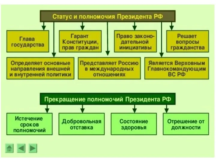 Президент вправе приостанавливать действие актов органов исполнительной власти субъектов РФ в случае