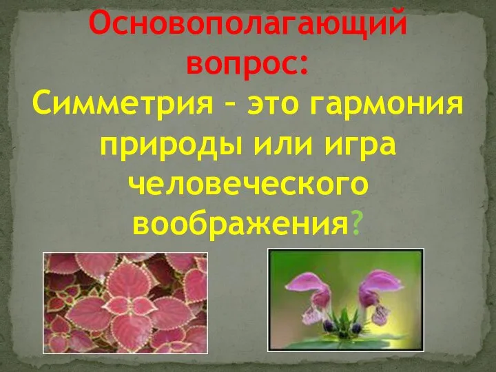 Основополагающий вопрос: Симметрия – это гармония природы или игра человеческого воображения?