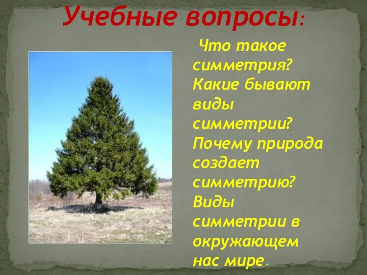 Учебные вопросы: Что такое симметрия? Какие бывают виды симметрии? Почему природа создает