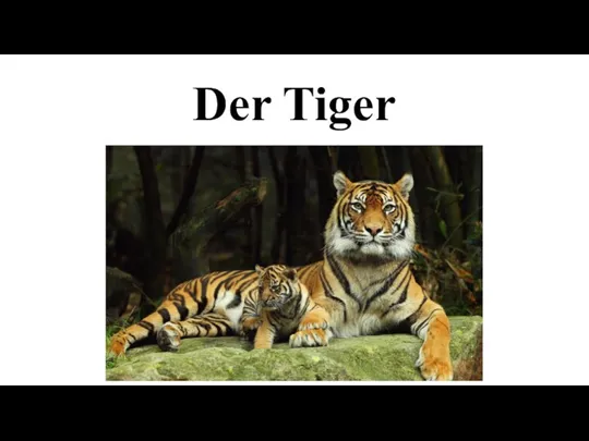 Der Tiger