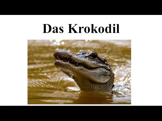 Das Krokodil