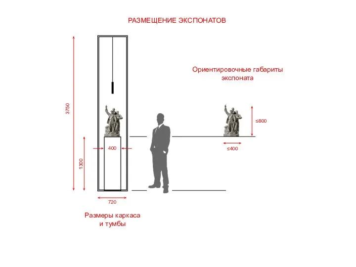 Размеры каркаса и тумбы РАЗМЕЩЕНИЕ ЭКСПОНАТОВ 400 720 1300 3750 ≤400 ≤800 Ориентировочные габариты экспоната