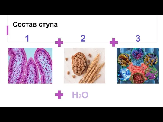 Состав стула 1 2 3 Н2О