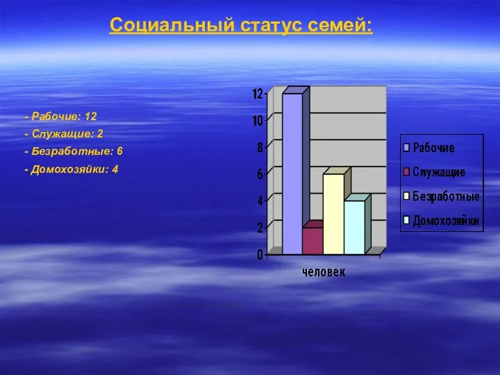 Социальный статус семей: - Рабочие: 12 - Служащие: 2 - Безработные: 6 - Домохозяйки: 4