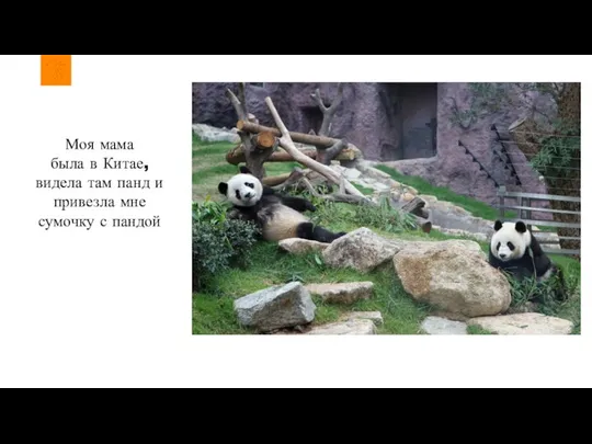 Моя мама была в Китае, видела там панд и привезла мне сумочку с пандой