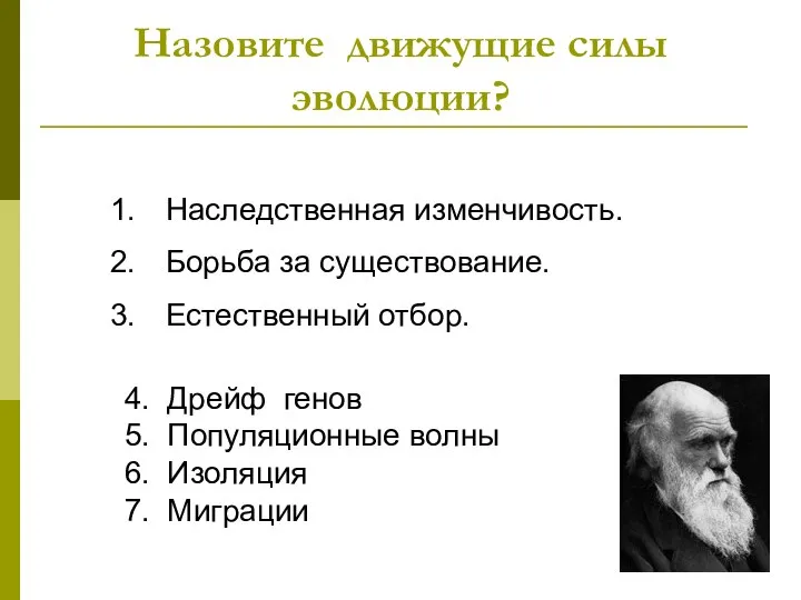 Назовите движущие силы эволюции? Наследственная изменчивость. Борьба за существование. Естественный отбор. 4.