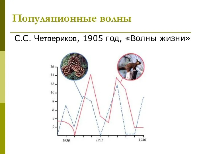 Популяционные волны С.С. Четвериков, 1905 год, «Волны жизни»