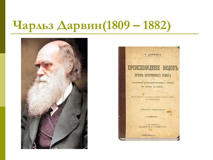 Чарльз Дарвин(1809 – 1882)