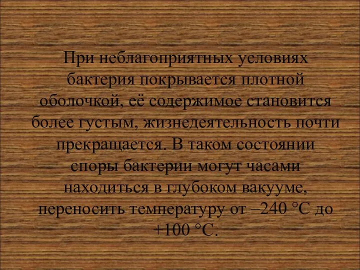 При неблагоприятных условиях бактерия покрывается плотной оболочкой, её содержимое становится более густым,