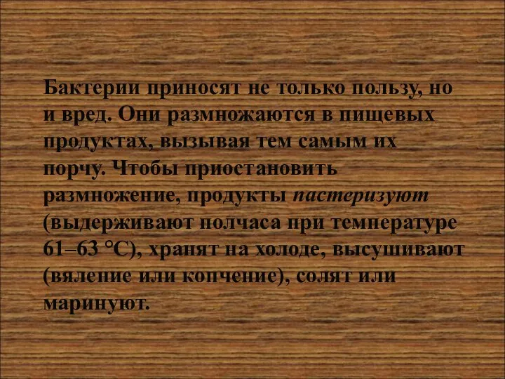 Бактерии приносят не только пользу, но и вред. Они размножаются в пищевых