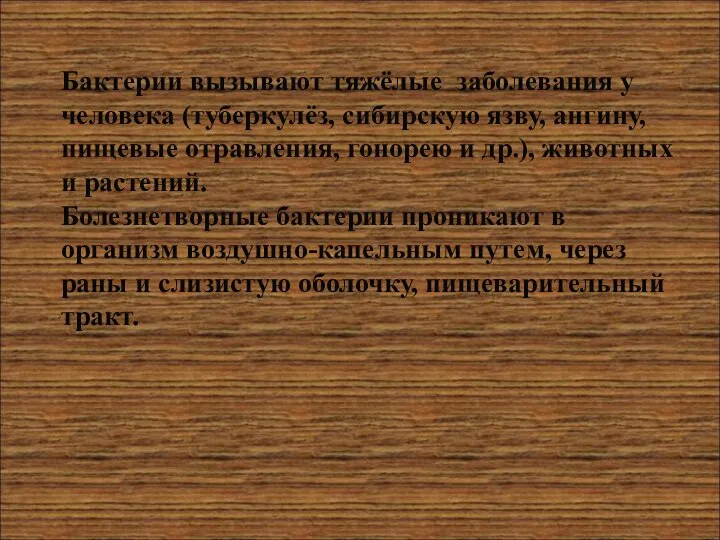 Бактерии вызывают тяжёлые заболевания у человека (туберкулёз, сибирскую язву, ангину, пищевые отравления,