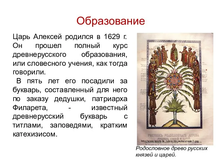 Образование Царь Алексей родился в 1629 г. Он прошел полный курс древнерусского