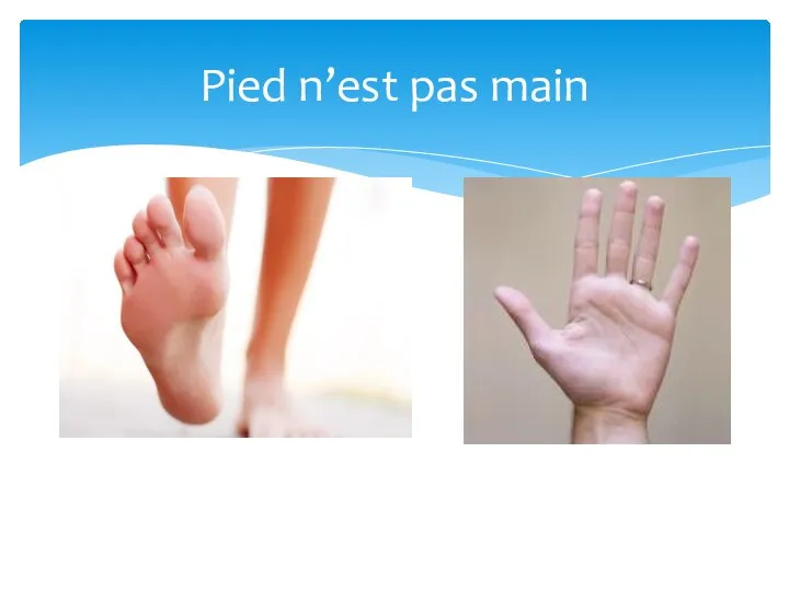 Pied n’est pas main