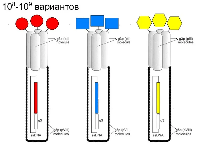 108-109 вариантов