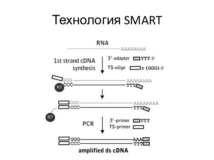 Технология SMART