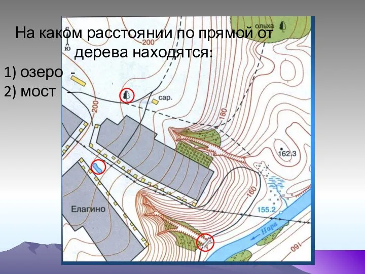 На каком расстоянии по прямой от дерева находятся: 1) озеро - 2) мост -