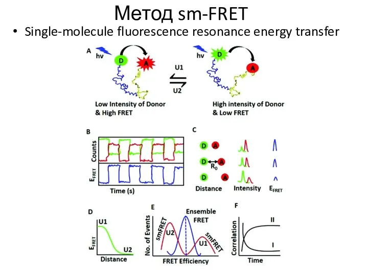 Метод sm-FRET Single-molecule fluorescence resonance energy transfer