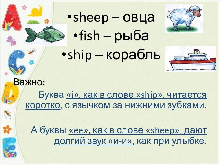 sheep – овца fish – рыба ship – корабль Важно: Буква «i»,