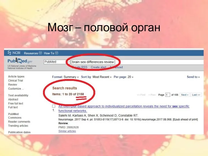 Мозг – половой орган