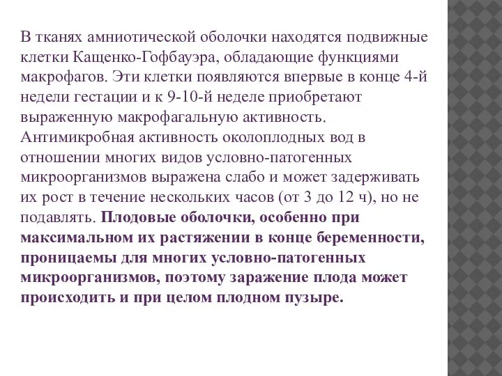 В тканях амниотической оболочки находятся подвижные клетки Кащенко-Гофбауэра, обладающие функциями макрофагов. Эти