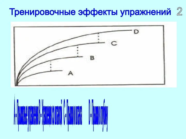 А - Прыжковые упражнения B - Уражнения со штангой С - Прыжки