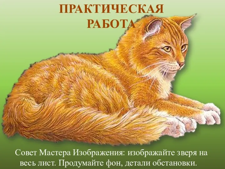 Совет Мастера Изображения: изображайте зверя на весь лист. Продумайте фон, детали обстановки. ПРАКТИЧЕСКАЯ РАБОТА