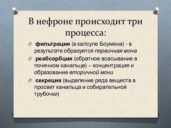 В нефроне происходит три процесса: фильтрация (в капсуле Боумена) - в результате