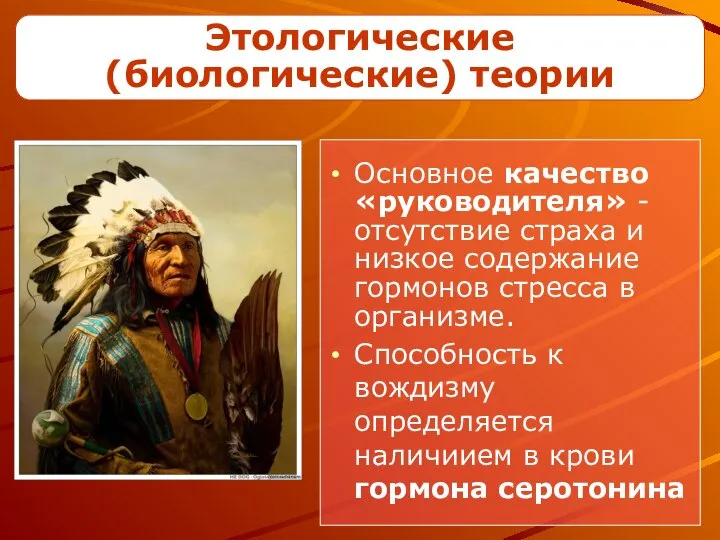 Этологические (биологические) теории Основное качество «руководителя» - отсутствие страха и низкое содержание