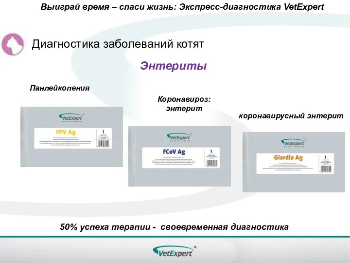 Выиграй время – спаси жизнь: Экспресс-диагностика VetExpert 50% успеха терапии - своевременная