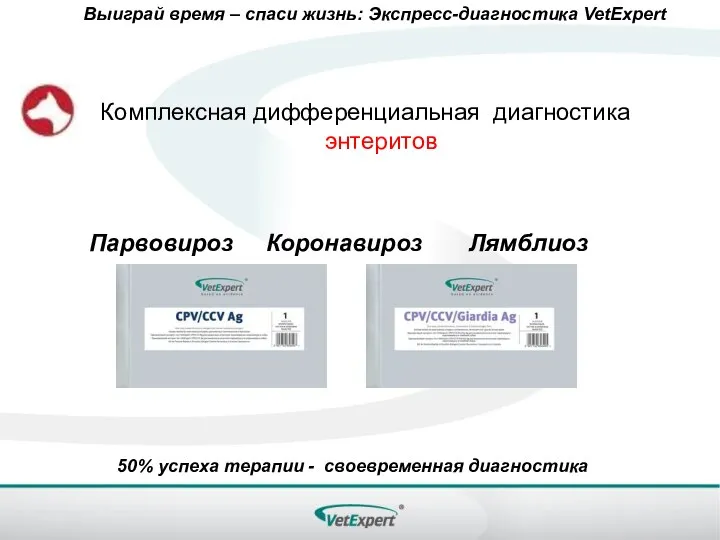 Выиграй время – спаси жизнь: Экспресс-диагностика VetExpert 50% успеха терапии - своевременная