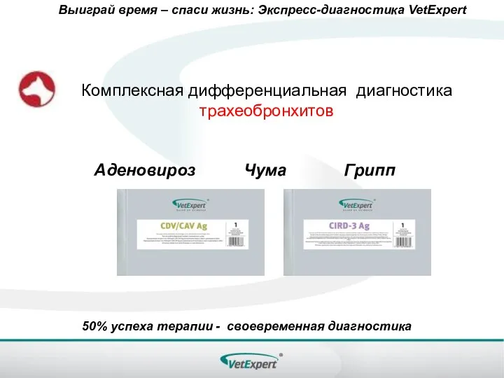 Выиграй время – спаси жизнь: Экспресс-диагностика VetExpert 50% успеха терапии - своевременная