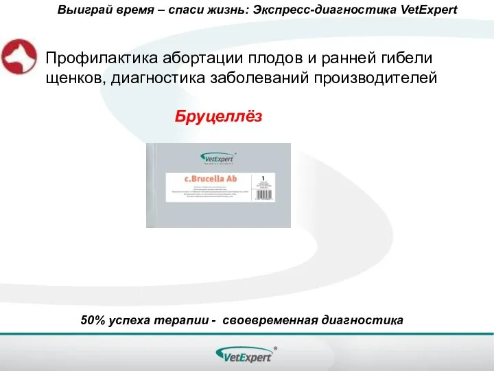 Выиграй время – спаси жизнь: Экспресс-диагностика VetExpert 50% успеха терапии - своевременная