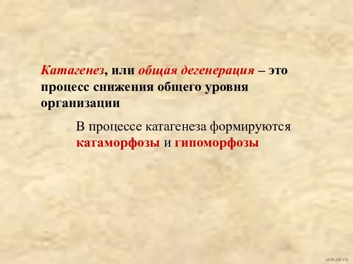 Катагенез, или общая дегенерация – это процесс снижения общего уровня организации В