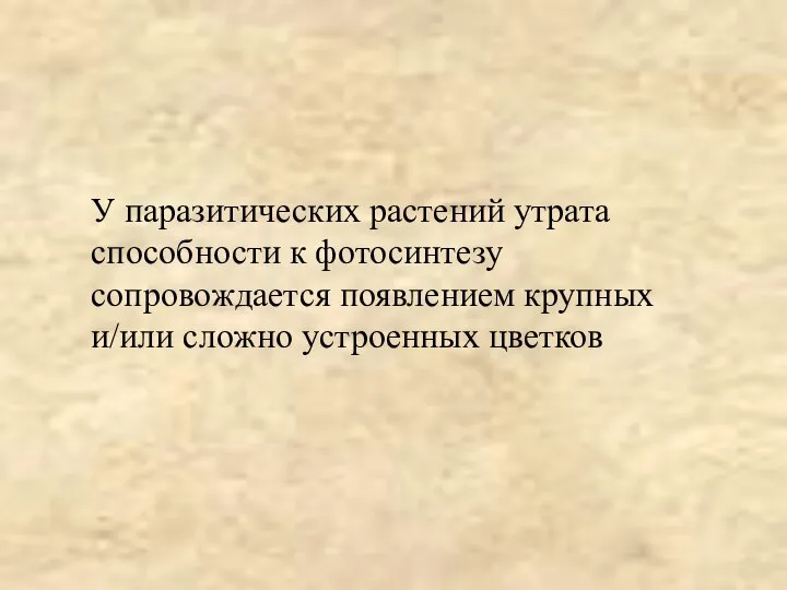 У паразитических растений утрата способности к фотосинтезу сопровождается появлением крупных и/или сложно устроенных цветков