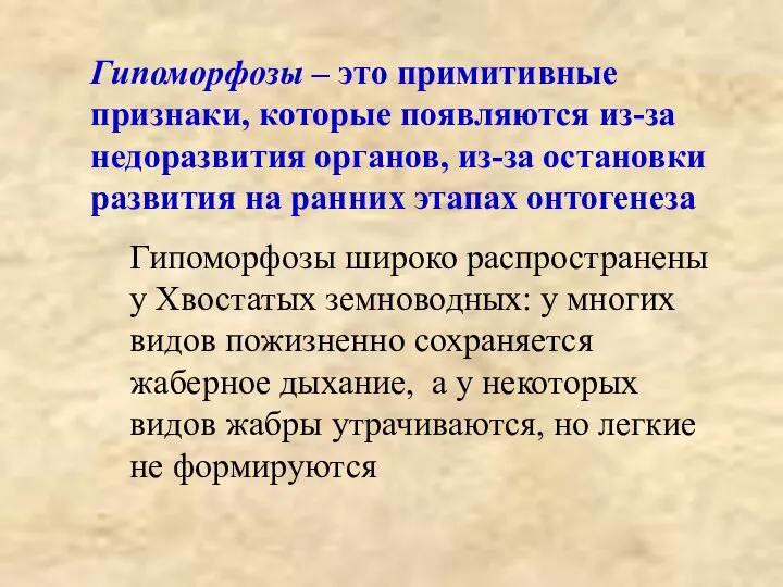 Гипоморфозы – это примитивные признаки, которые появляются из-за недоразвития органов, из-за остановки