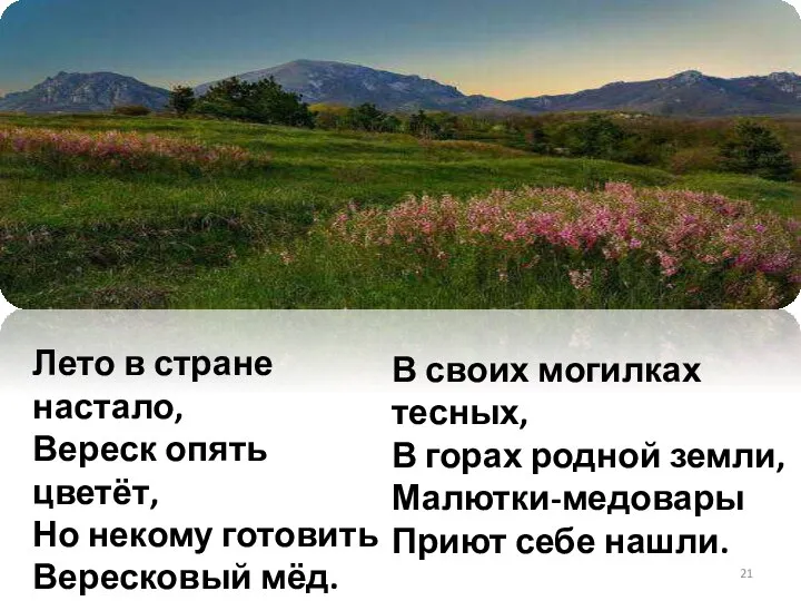 Лето в стране настало, Вереск опять цветёт, Но некому готовить Вересковый мёд.
