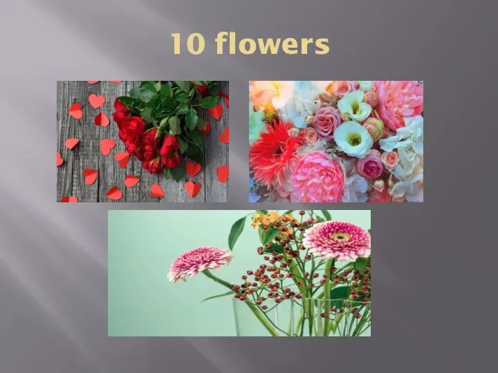 10 flowers