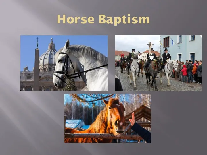 Horse Baptism