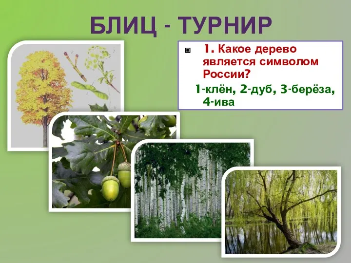 БЛИЦ - ТУРНИР 1. Какое дерево является символом России? 1-клён, 2-дуб, 3-берёза, 4-ива