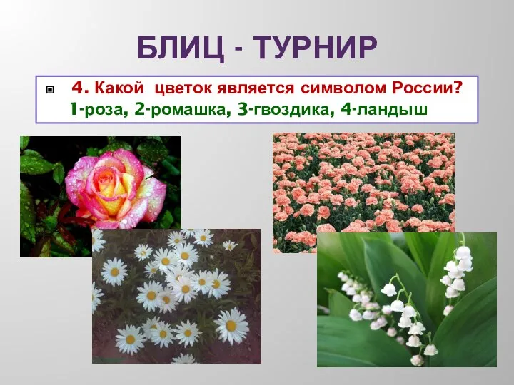 БЛИЦ - ТУРНИР 4. Какой цветок является символом России? 1-роза, 2-ромашка, 3-гвоздика, 4-ландыш
