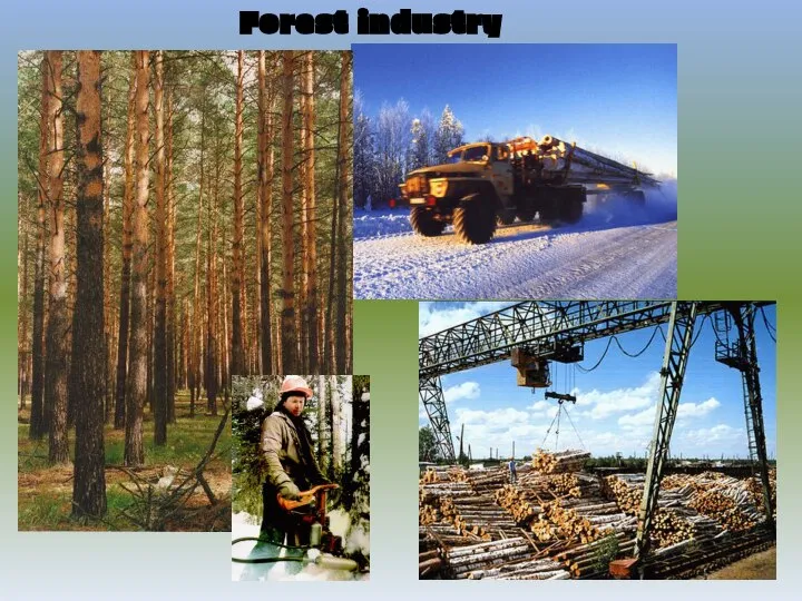 Forest industry